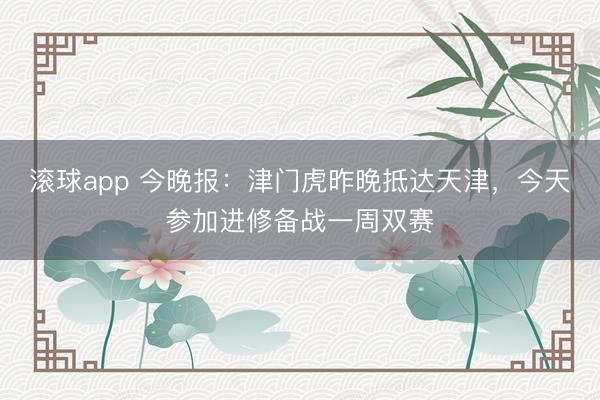 滚球app 今晚报：津门虎昨晚抵达天津，今天参加进修备战一周双赛