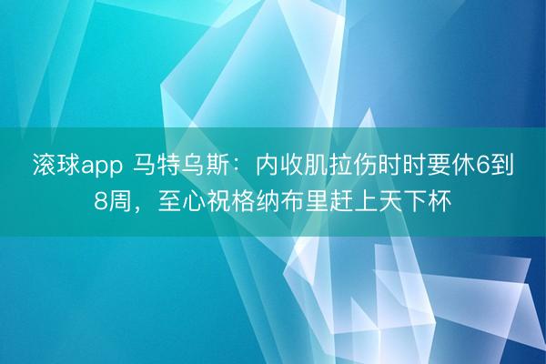 滚球app 马特乌斯：内收肌拉伤时时要休6到8周，至心祝格纳布里赶上天下杯