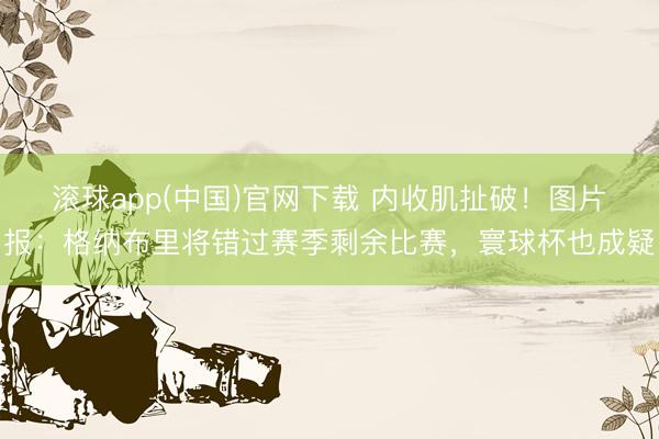 滚球app(中国)官网下载 内收肌扯破！图片报：格纳布里将错过赛季剩余比赛，寰球杯也成疑
