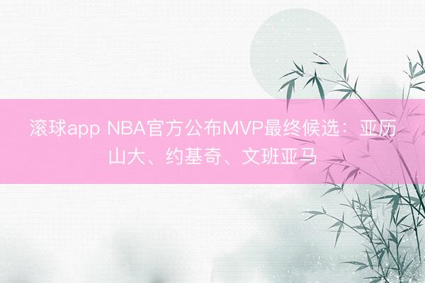 滚球app NBA官方公布MVP最终候选：亚历山大、约基奇、文班亚马