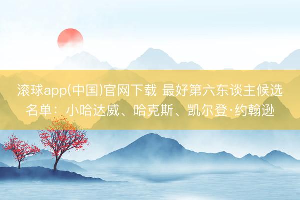 滚球app(中国)官网下载 最好第六东谈主候选名单：小哈达威、哈克斯、凯尔登·约翰逊