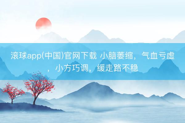 滚球app(中国)官网下载 小脑萎缩，气血亏虚，小方巧调，缓走路不稳