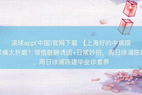 滚球app(中国)官网下载 【上海好的中病院】夜尿多、尿痛太折磨？领悟脏腑诱因+日常妙招，周日徐浦陈建华坐诊素养