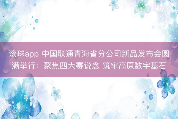 滚球app 中国联通青海省分公司新品发布会圆满举行：聚焦四大赛说念 筑牢高原数字基石