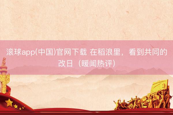 滚球app(中国)官网下载 在稻浪里，看到共同的改日（暖闻热评）