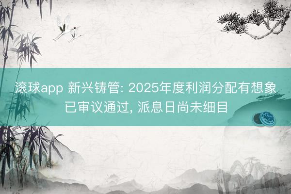 滚球app 新兴铸管: 2025年度利润分配有想象已审议通过， 派息日尚未细目
