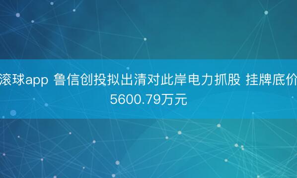 滚球app 鲁信创投拟出清对此岸电力抓股 挂牌底价5600.79万元