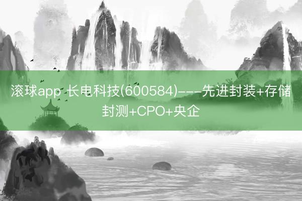 滚球app 长电科技(600584)---先进封装+存储封测+CPO+央企