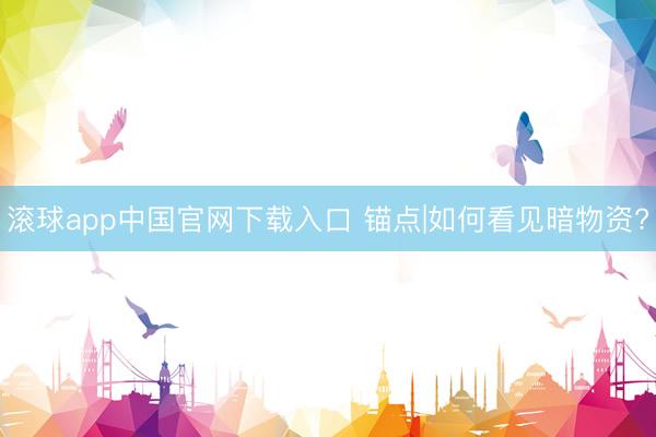 滚球app中国官网下载入口 锚点|如何看见暗物资?
