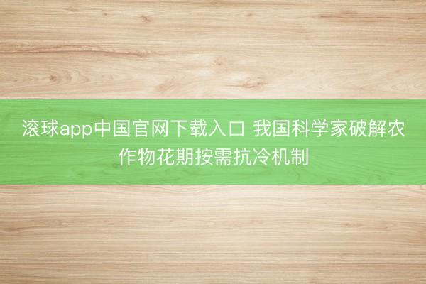 滚球app中国官网下载入口 我国科学家破解农作物花期按需抗冷机制