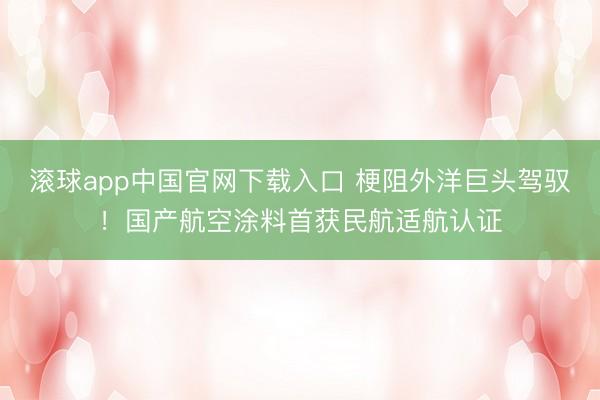 滚球app中国官网下载入口 梗阻外洋巨头驾驭！国产航空涂料首获民航适航认证