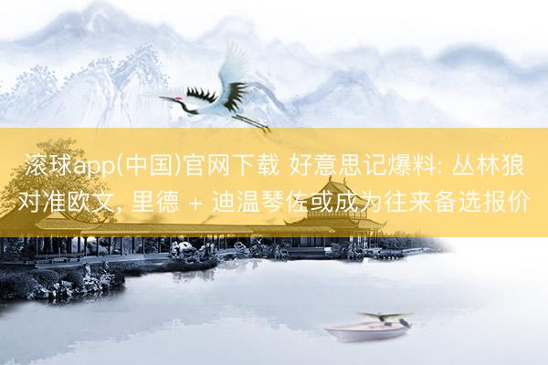 滚球app(中国)官网下载 好意思记爆料: 丛林狼对准欧文， 里德 + 迪温琴佐或成为往来备选报价