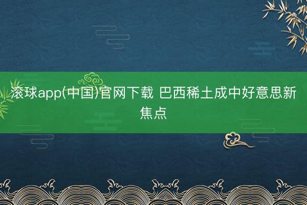 滚球app(中国)官网下载 巴西稀土成中好意思新焦点