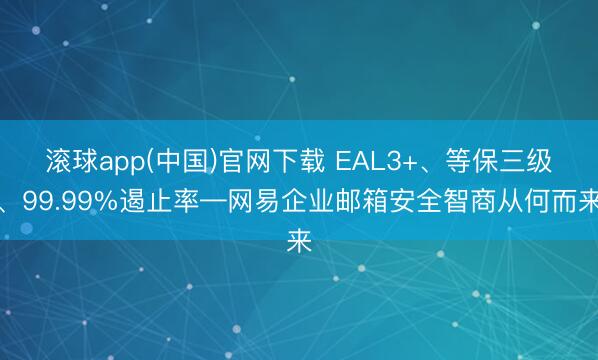 滚球app(中国)官网下载 EAL3+、等保三级、99.99%遏止率—网易企业邮箱安全智商从何而来