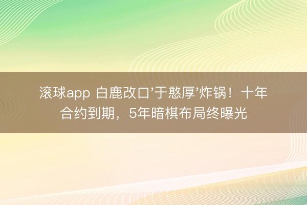 滚球app 白鹿改口'于憨厚'炸锅！十年合约到期，5年暗棋布局终曝光