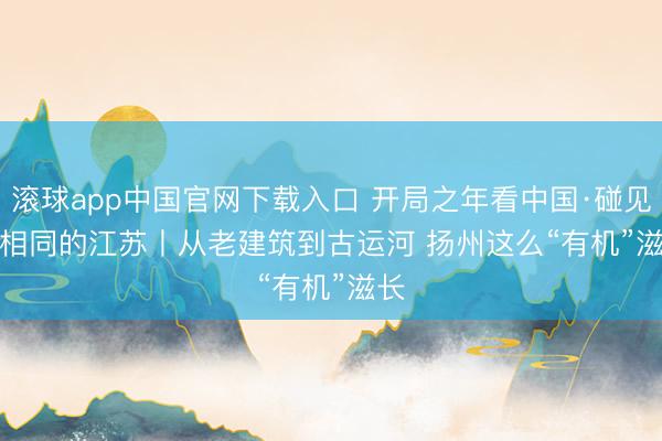 滚球app中国官网下载入口 开局之年看中国·碰见不相同的江苏丨从老建筑到古运河 扬州这么“有机”滋长