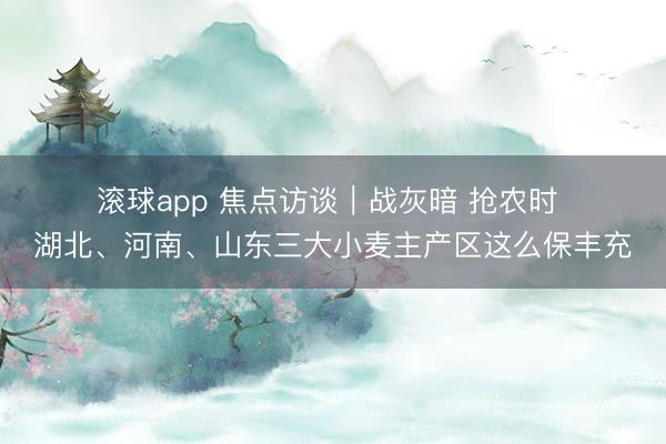 滚球app 焦点访谈|战灰暗 抢农时 湖北、河南、山东三大小麦主产区这么保丰充