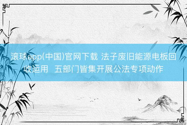 滚球app(中国)官网下载 法子废旧能源电板回收运用  五部门皆集开展公法专项动作