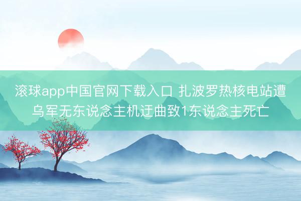 滚球app中国官网下载入口 扎波罗热核电站遭乌军无东说念主机迂曲致1东说念主死亡