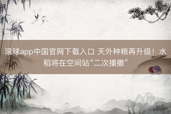 滚球app中国官网下载入口 天外种粮再升级！水稻将在空间站“二次播撒”