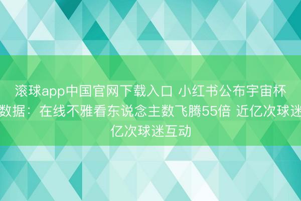 滚球app中国官网下载入口 小红书公布宇宙杯开赛数据：在线不雅看东说念主数飞腾55倍 近亿次球迷互动