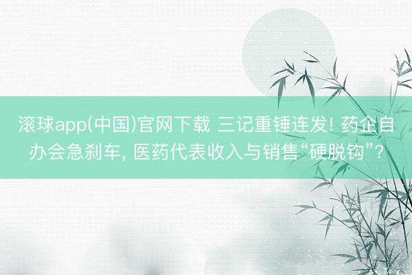 滚球app(中国)官网下载 三记重锤连发! 药企自办会急刹车, 医药代表收入与销售“硬脱钩”?